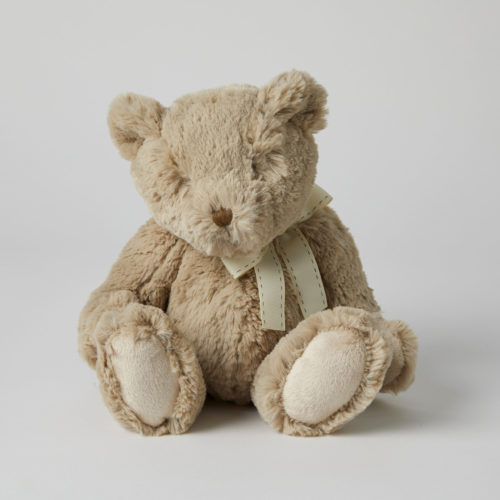 Teddy Bear with Ribbon – Early June