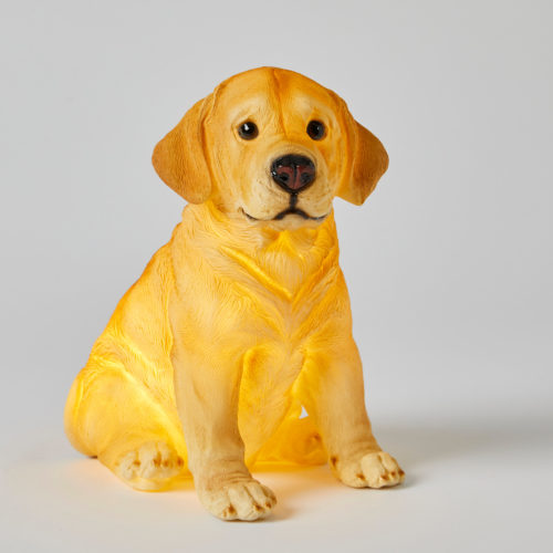 Labrador Sculptured Light