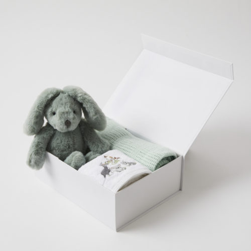 Green Bunny Hamper Gift Set – July