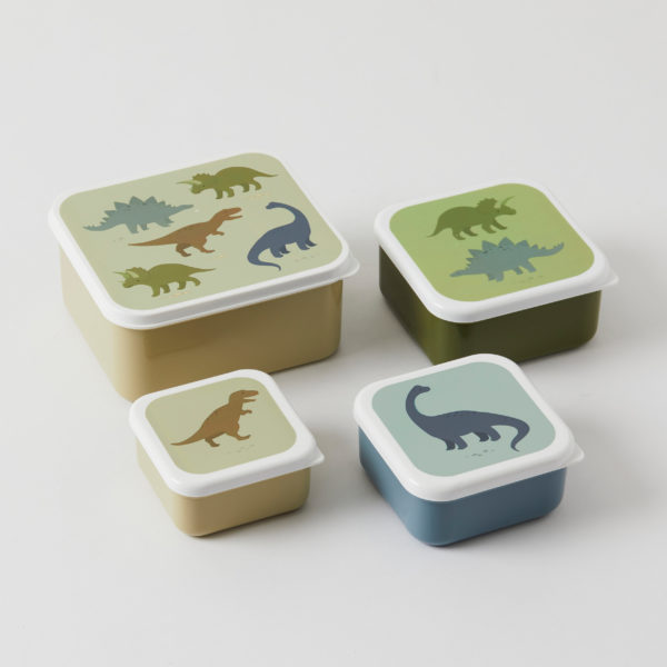 Dinosaurs Lunch & Snack Box Set of 4