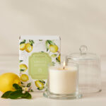 Limetta Glass Cloche Scented Candle