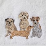 Pawfect Hand Towel Set of 2 (1 Plain)