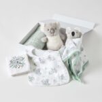 Koala Cuddles Hamper Gift Set