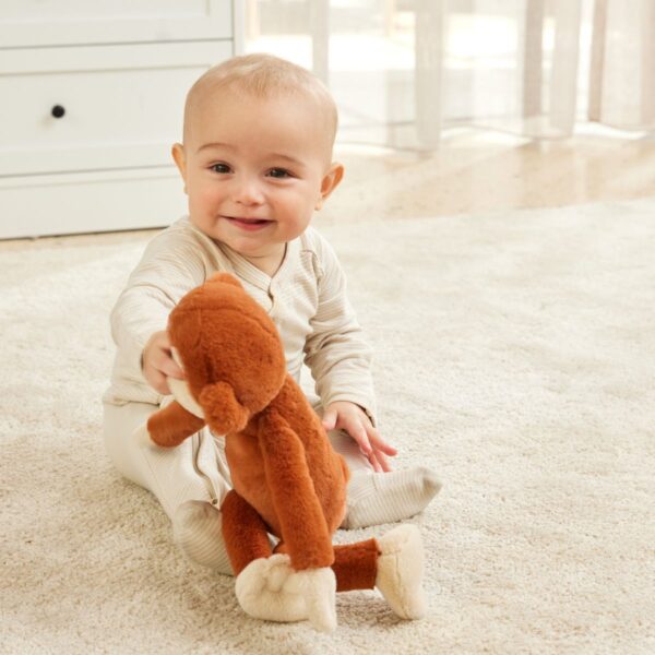 Gigi the Monkey