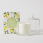 Limetta Glass Cloche Scented Candle