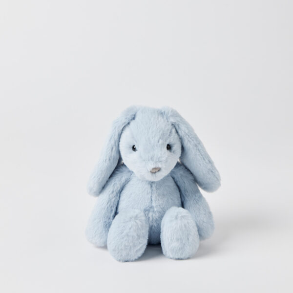 Pale Blue Bunny Hamper Gift Set