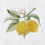 Limetta Hand Towel