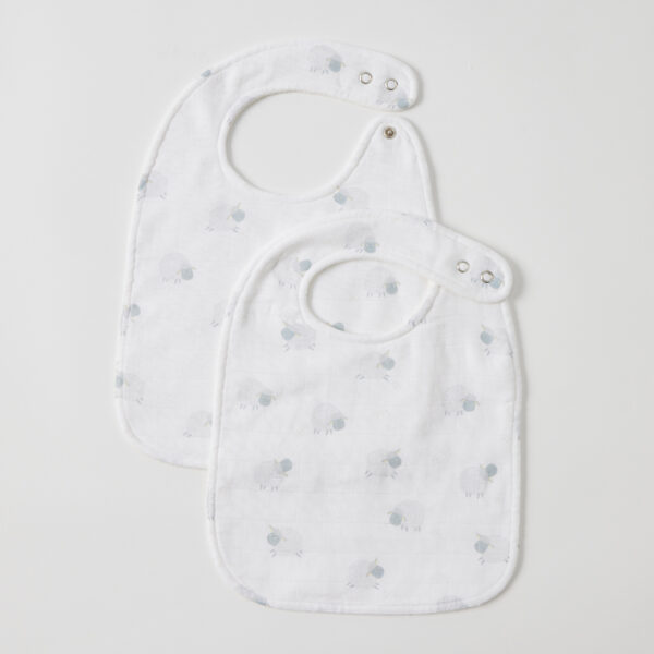 In the Meadow Bib Set of 2