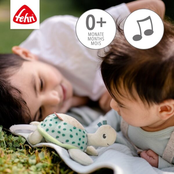 Fehn Mini Musical Turtle