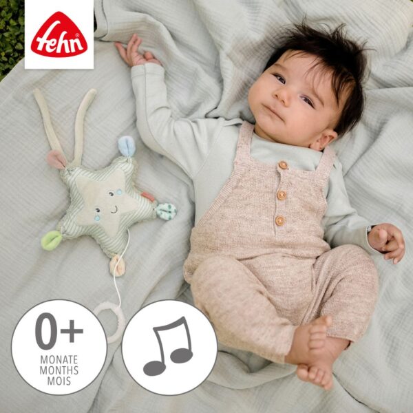 Fehn Mini Musical Starfish