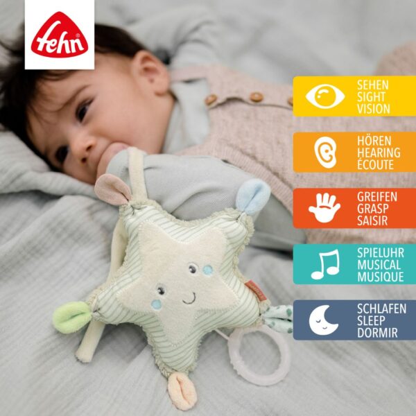 Fehn Mini Musical Starfish