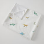 Dallying Dinosaurs Soft Fleece Blanket