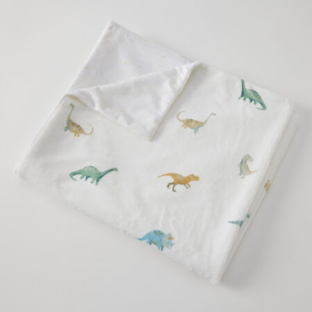 Dallying Dinosaurs Soft Fleece Blanket