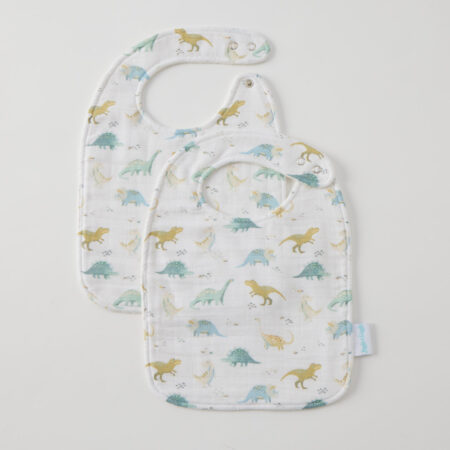 Dallying Dinosaurs Muslin Bib Set of 2