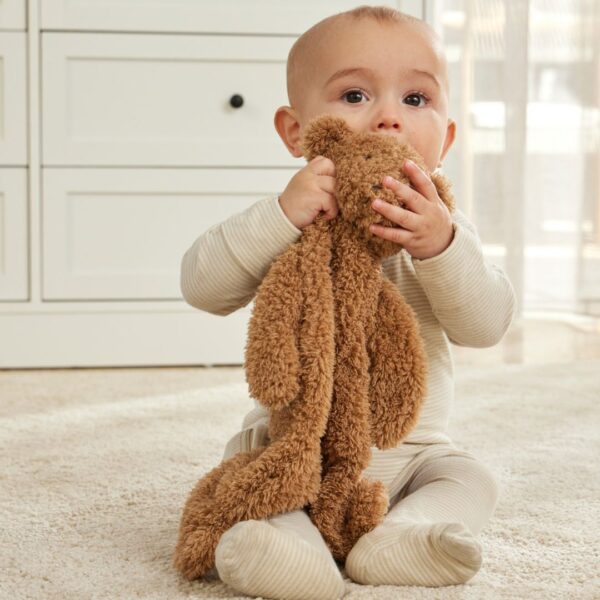 Cuddly Bear Comforter 2 Asst Colours