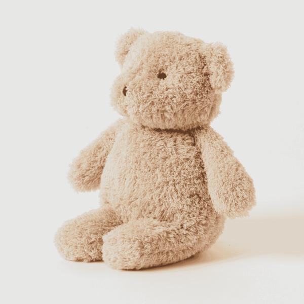 Cuddly Bear 2 Asst Colours