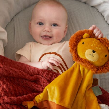 Edgar_Lion_Comforter