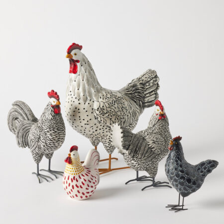 Black Chickens Size Comparison – HBSC027 HBSC028 HBSC029 HBSC014 HBSC032