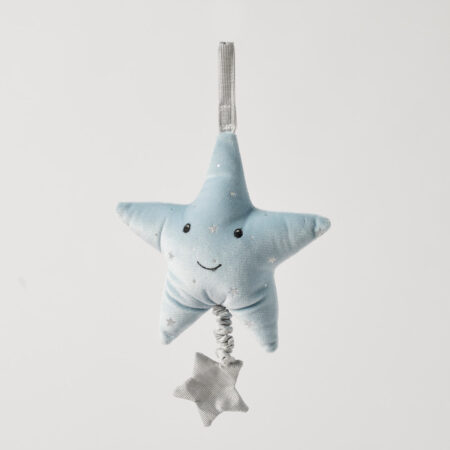 Jiggle & Giggle Musical Toy Star