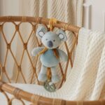 Jiggle & Giggle Hugglies Musical Koala