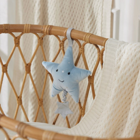 Jiggle & Giggle Musical Toy Star