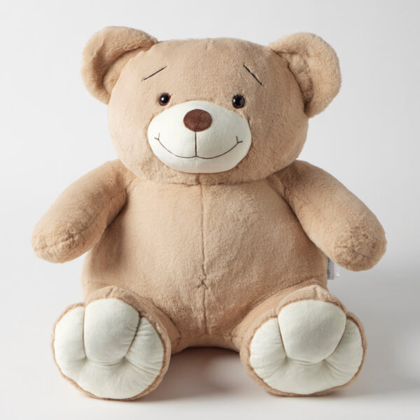 Jiggle & Giggle Davey Bear