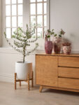 Archetta Planter Pot Set of 2 - White