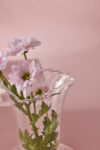 Roselle Vase - Clear