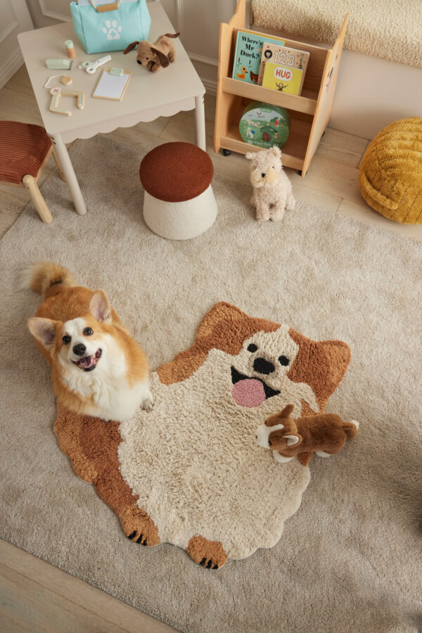 Luna Corgi