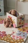 Jiggle & Giggle Fleur Pull Along Cart